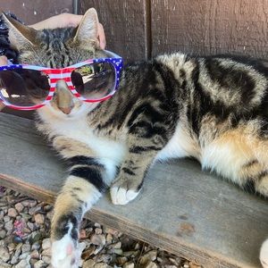 Meet your Posher, Jen